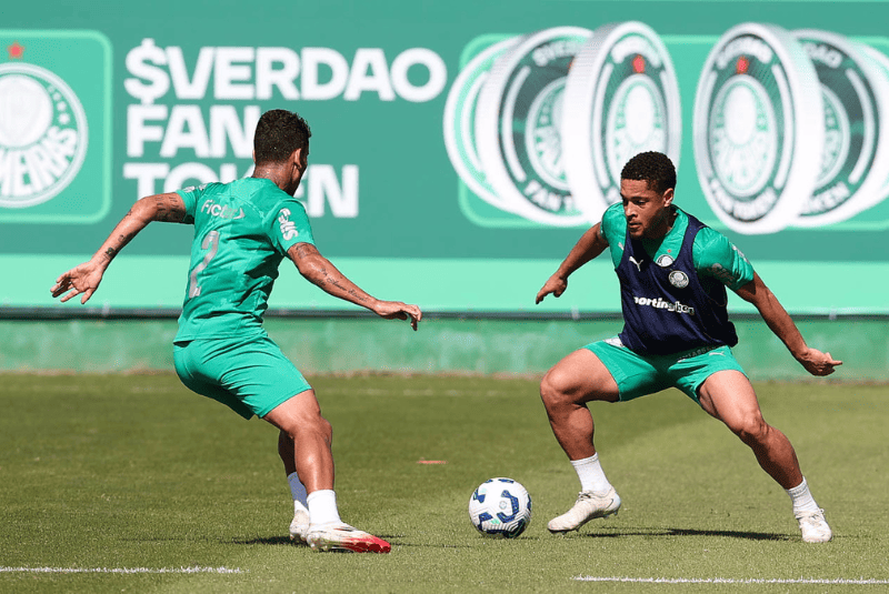 Líder no Campeonato Brasileiro e classificado para as oitavas da Libertadores, o Palmeiras sonha com a conquista da Copa do Mundo de Clubes.