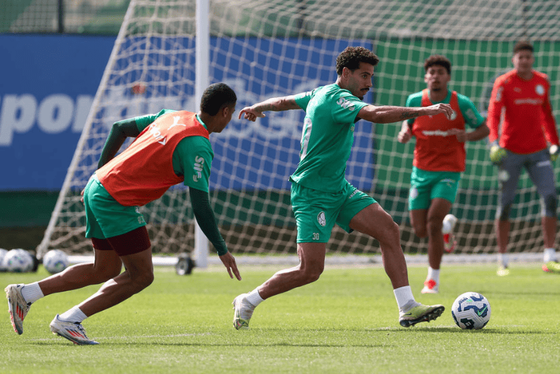 Neste domingo (1º), o Palmeiras visita o Cruzeiro no Estádio Governador Magalhães Pinto, o popular Mineirão, em Belo Horizonte.