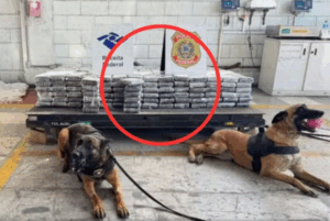 Em uma operação de rotina realizada nesta segunda-feira (16), a Receita Federal apreendeu 657 quilos de cocaína escondidos em uma carga de