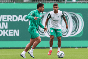 O Palmeiras divulgou a lista de 29 jogadores inscritos para a disputa do Novo Mundial de Clubes. A delegação embarca para os Estados Unidos...