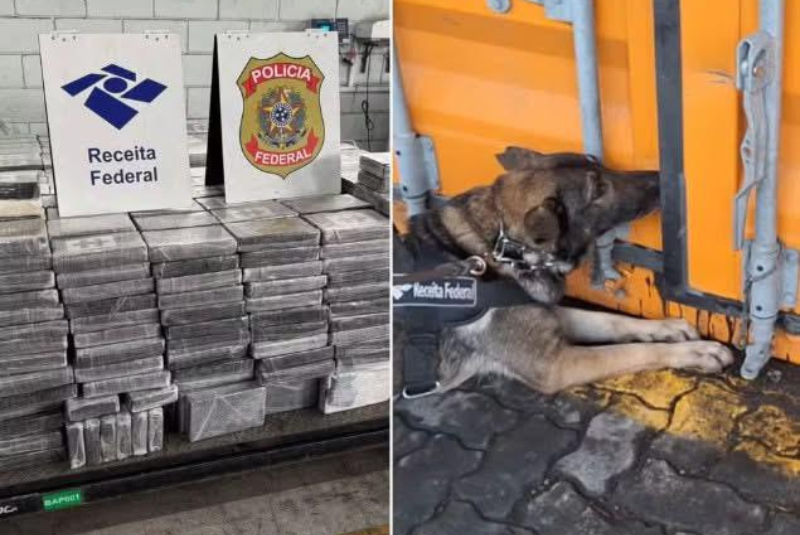 A Receita Federal realizou nesta terça-feira (10) a maior apreensão de cocaína dos últimos quatro anos no Porto de Santos...