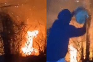 Um incêndio atingiu cerca de 250 metros quadrados de vegetação no topo do Morro da Asa Delta, no bairro Cachoeira, em Guarujá (SP)...