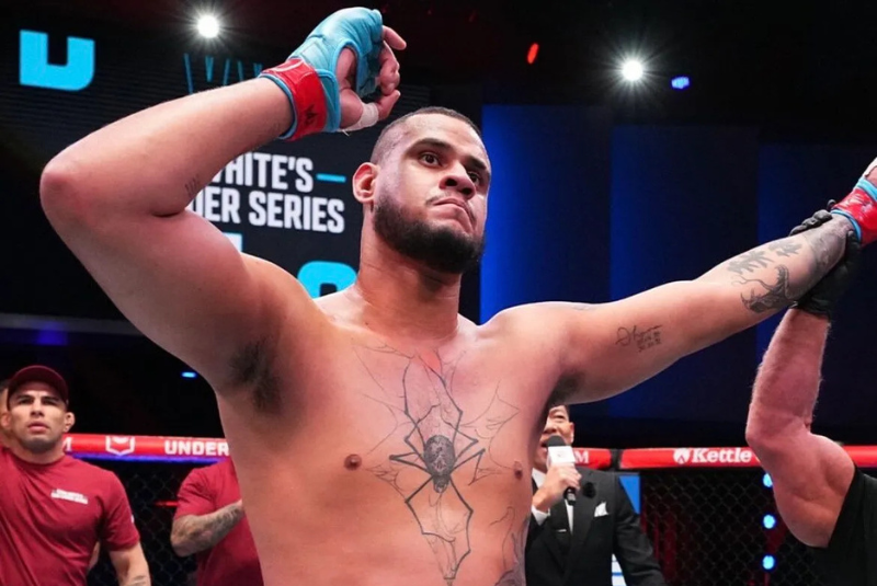 O UFC desembarca na Bridgestone Arena, em Nashville (EUA), com a promessa de lutas do mais alto nível. Cinco brasileiros subirão...