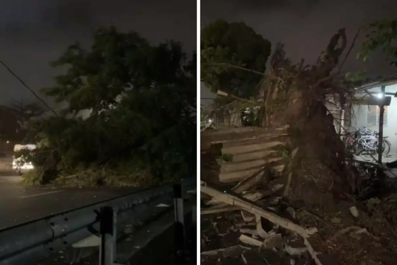 Uma forte ventania atingiu a Baixada Santista, no litoral de São Paulo, neste sábado (23), provocando diversos estragos nas cidades...