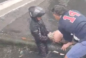 Um idoso caiu no Canal 3, em Santos (SP), na manhã desta quarta-feira (6), após escorregar enquanto estava apoiado sobre a mureta...