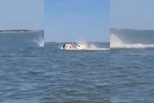 Uma baleia de aproximadamente seis metros de comprimento morreu no último sábado (2) após colidir com um barco na Baía de Barnegat,