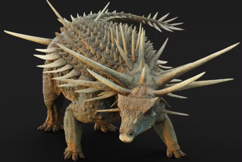 Fóssil raro de dinossauro com armadura de espinhos é descoberto no Marrocos
