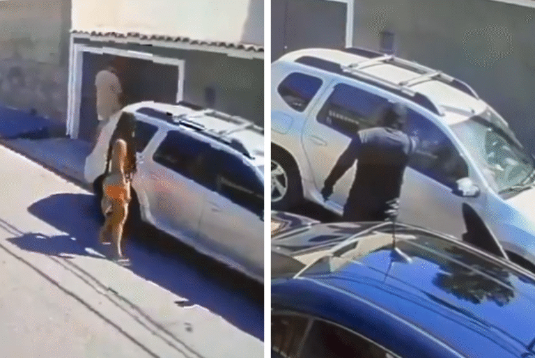 Mulher é baleada com mais de 10 tiros à queima-roupa na Zona Oeste do Rio