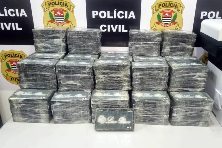 Seis homens, com idades entre 22 e 50 anos, foram presos na madrugada desta quarta-feira (13) em Santos, no litoral de São Paulo...