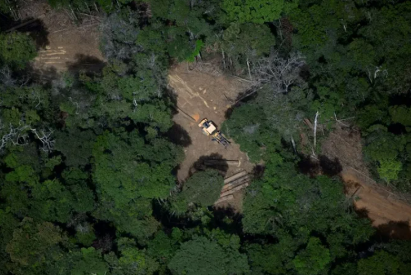 Brasil lidera proposta para precificação global de carbono e criação de fundo para conservação na COP30