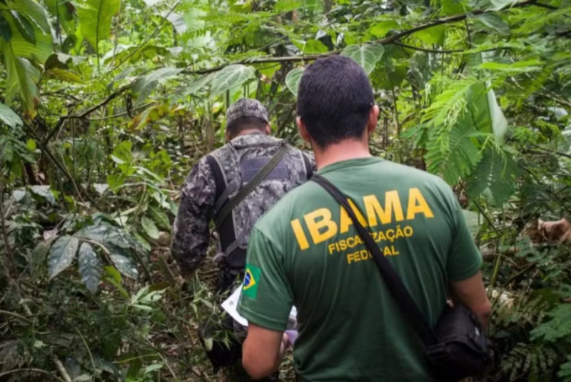 Governo autoriza nomeação de 460 servidores para reforçar o Ibama