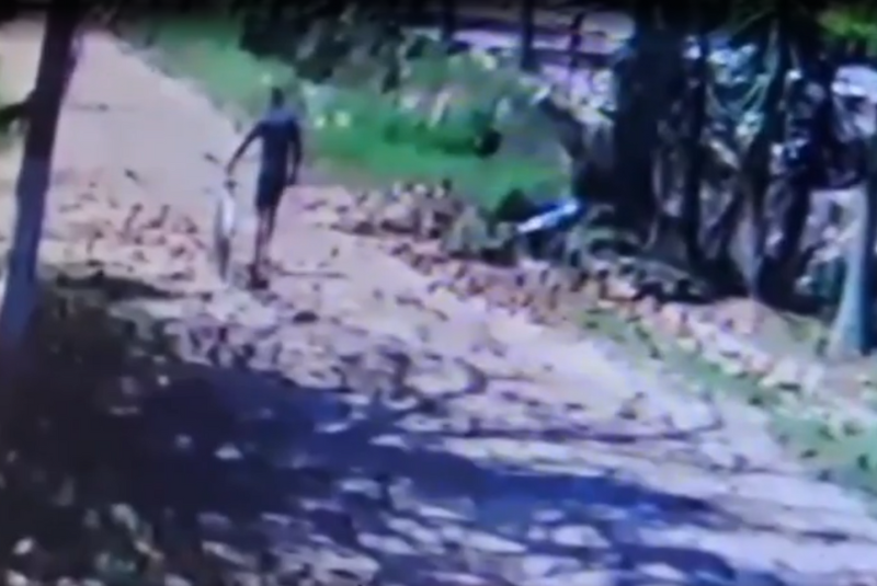 Uma mulher foi vítima de importunação sexual enquanto passeava com seus cães no bairro Jardim Virgínia, em Guarujá...