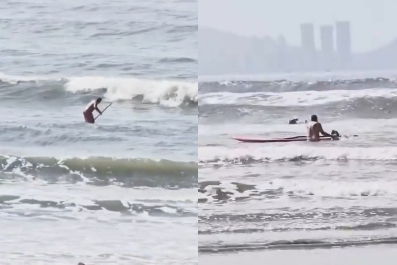 Um homem foi filmado agredindo seu cachorro da raça pit bull em cima de uma prancha de stand up paddle, no mar de São Vicente...