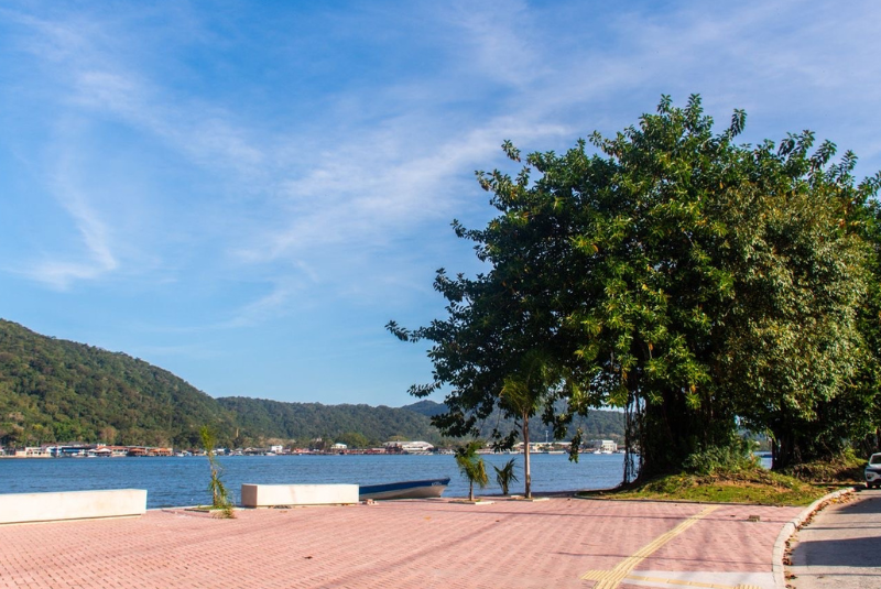 Neste sábado (21), Dia da Árvore, São Vicente realizou ações voltadas à arborização e ao cuidado com as áreas verdes.