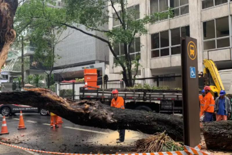 Temporal “severo” em SP causa quedas de árvores, destelhamentos e blecautes