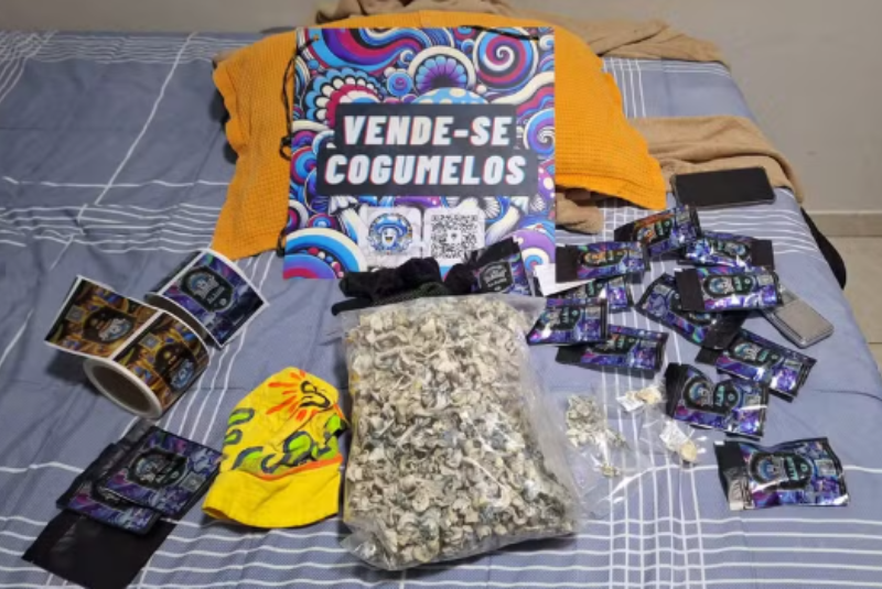 Maior rede de cogumelos alucinógenos do Brasil é desarticulada pela Polícia Civil no DF