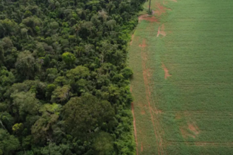 Estados e DF devem padronizar Autorização de Supressão de Vegetação