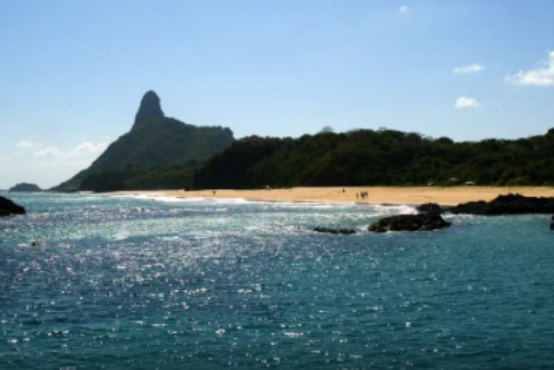 Ilhas brasileiras: estudo revela presença de espécies exclusivas