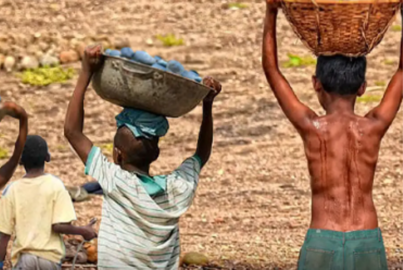 Brasil tem redução recorde na lista Piores Formas de Trabalho Infantil