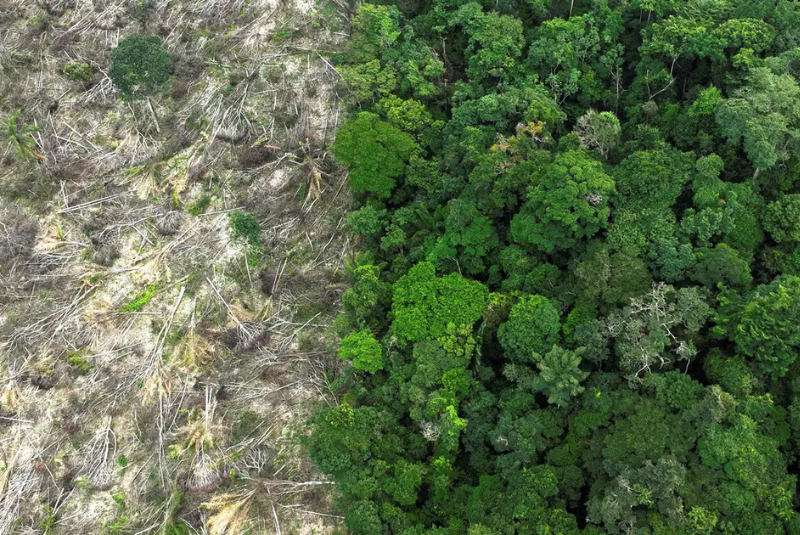 O período de estiagem na Amazônia brasileira está mais severo e a temperatura da floresta aumentou 2 graus entre 1985 e 2020...