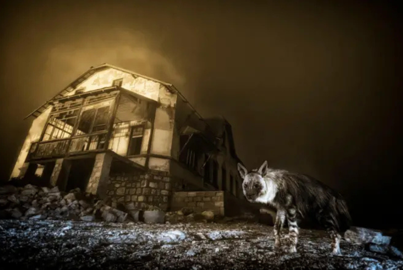 Um momento de silêncio e nevoeiro no deserto da Namíbia rendeu ao fotógrafo Wim van den Heever o prestigiado título de Fotógrafo...