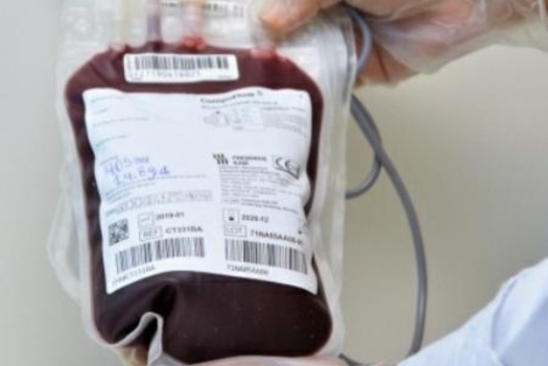 A fila de transplantes no Brasil reúne hoje cerca de 73 mil pacientes, sendo mais da metade à espera de um rim.