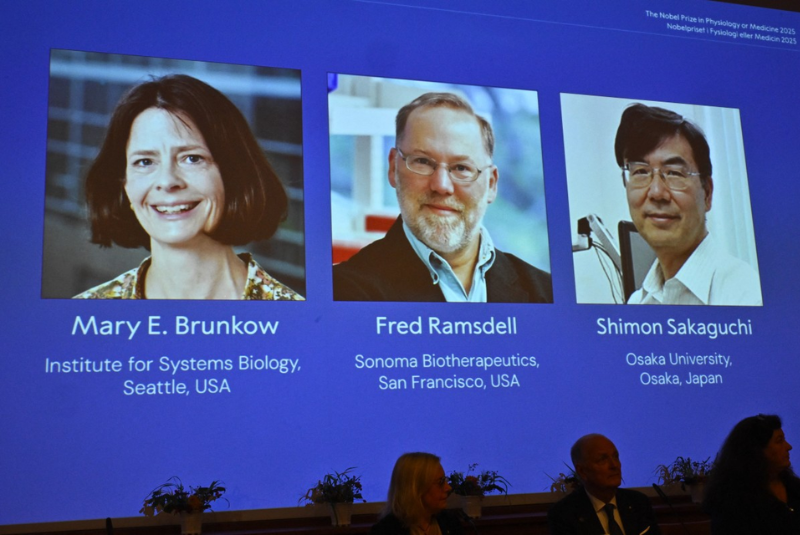 Os cientistas Mary E. Brunkow e Fred Ramsdell, dos Estados Unidos, e Shimon Sakaguchi, do Japão, foram agraciados com o Prêmio Nobel...