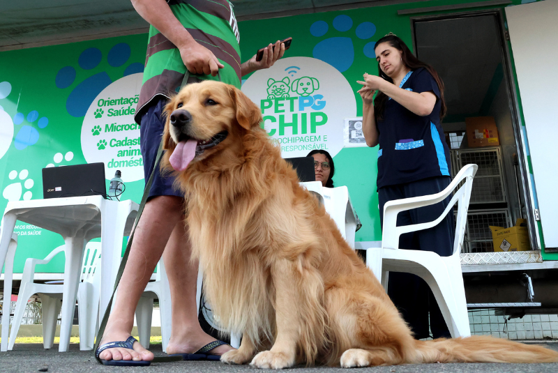 Projeto Pet PG Chip chega ao Boqueirão neste sábado com microchipagem gratuita para pets