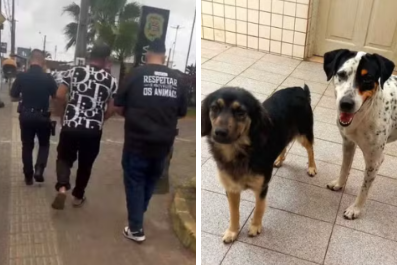 Homem é flagrado abandonando cães em Praia Grande; um dos animais estava ferido