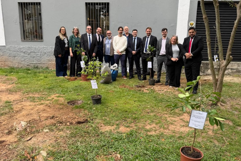 Santos ultrapassa meta de plantio de 2 mil árvores em 2025 e avança em programa ambiental