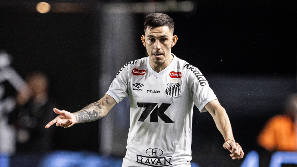 Foto: Raul Baretta / Santos FC