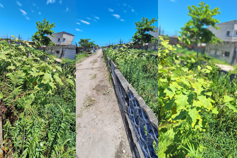 Uma denúncia feita por moradores levou a reportagem até a Avenida Manoel Gomes Seabra, na Vila Seabra em Mongaguá.