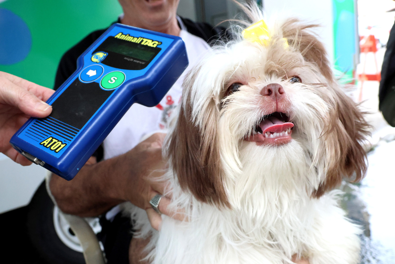 Nesta quinta-feira (27), o projeto “Pet PG Chip” estará no Bairro Samambaia, em Praia Grande, oferecendo microchipagem gratuita...