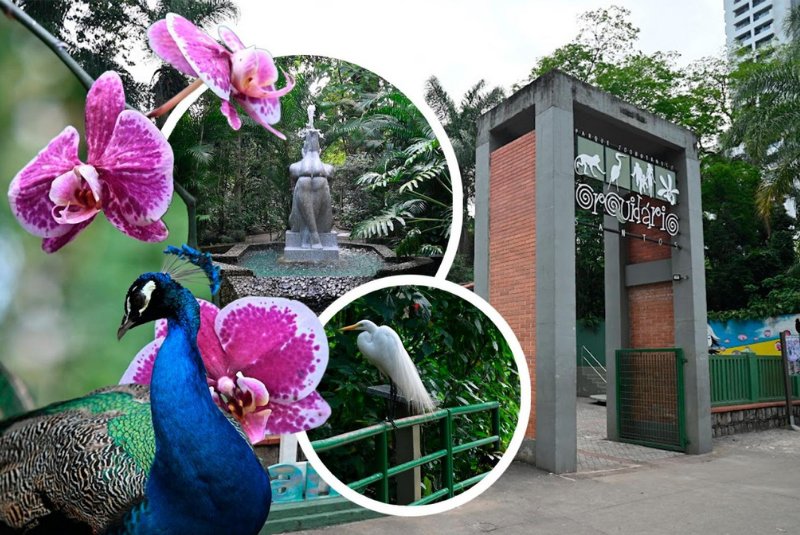 Orquidário de Santos comemora 80 anos com festa neste sábado (08)