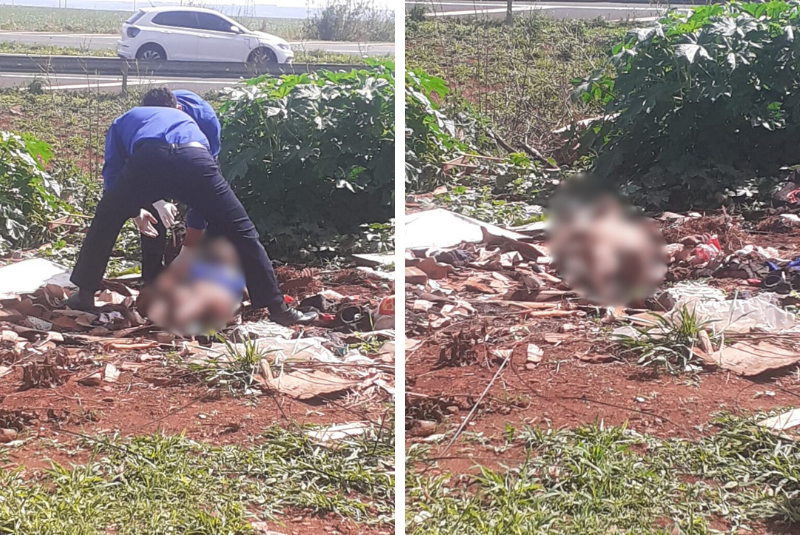 Corpo com sinais de facadas é encontrado entre entulhos no assentamento Maná, em Uberlândia