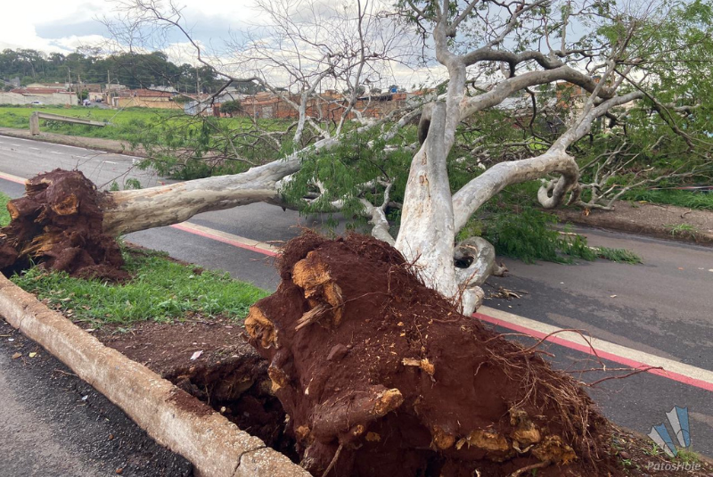 Temporal causa destruição em bairros de Patos de Minas e deixa moradores sem energia