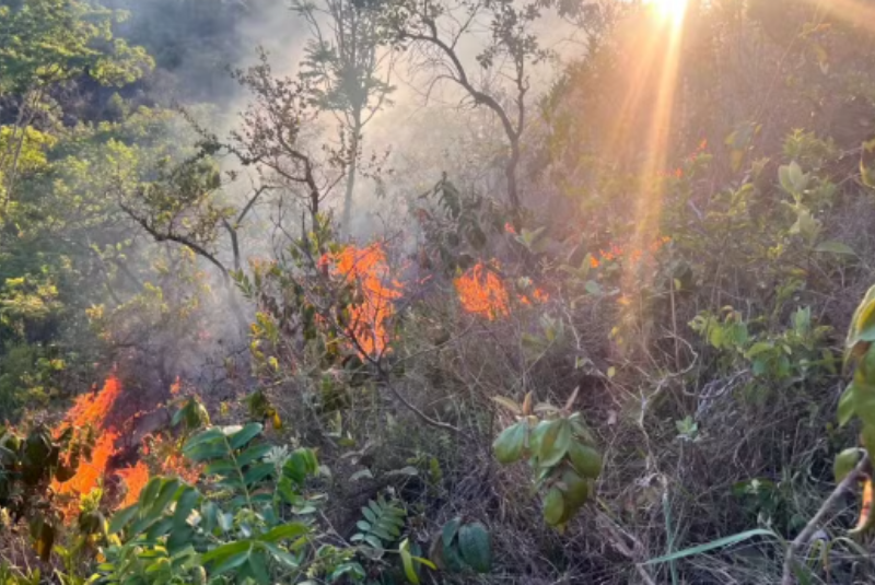 Incêndio destrói área do tamanho de sete campos de futebol em Presidente Olegário