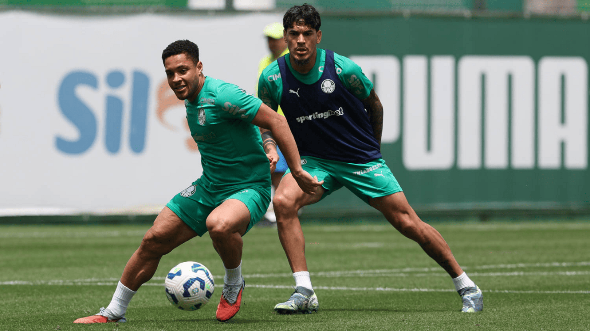 Foto: Cesar Greco / Palmeiras / by Canon