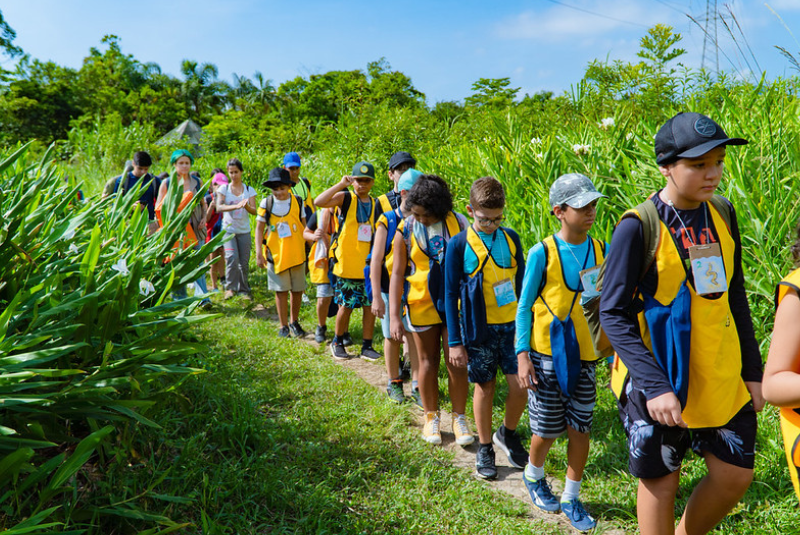 A Prefeitura de Bertioga (SP) abre, a partir de 6 de janeiro, as inscrições para dois cursos de férias com foco na educação ambiental.