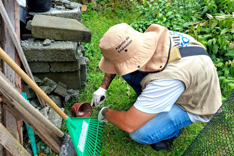 A cidade de São Vicente, no litoral paulista, eliminou mais de 8 mil focos do mosquito Aedes aegypti somente no mês de novembro.