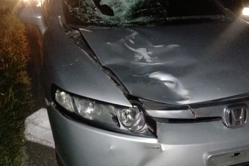 Um homem em situação de rua morreu após ser atropelado por um carro na noite de quarta-feira (10), no km 330 da Rodovia...