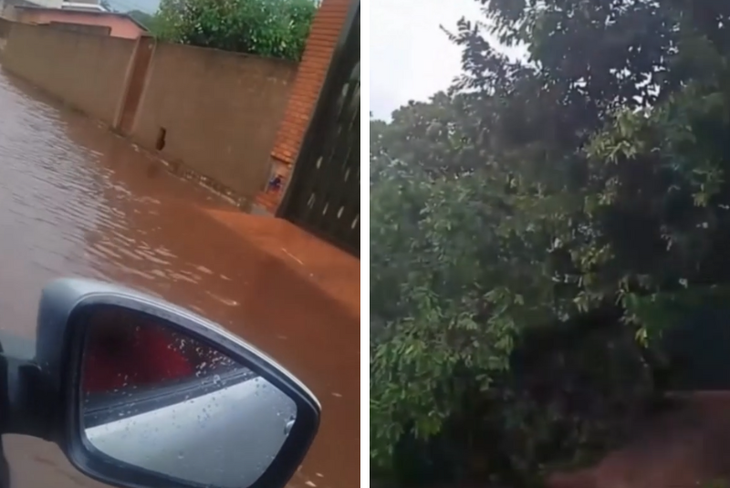 Temporal causa alagamentos e queda de árvores em Frutal