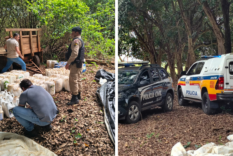 Na última segunda-feira, 7 de dezembro de 2025, uma operação conjunta realizada pela Patrulha Rural do 67º BPM e a Delegacia Especializada de Repressão a Crimes Rurais do 5º Departamento de Uberaba resultou na apreensão de uma carga de defensivos agrícolas, implementos e uma arma de fogo em uma fazenda localizada na região da Capelinha do Barreiro, no município de Uberaba.