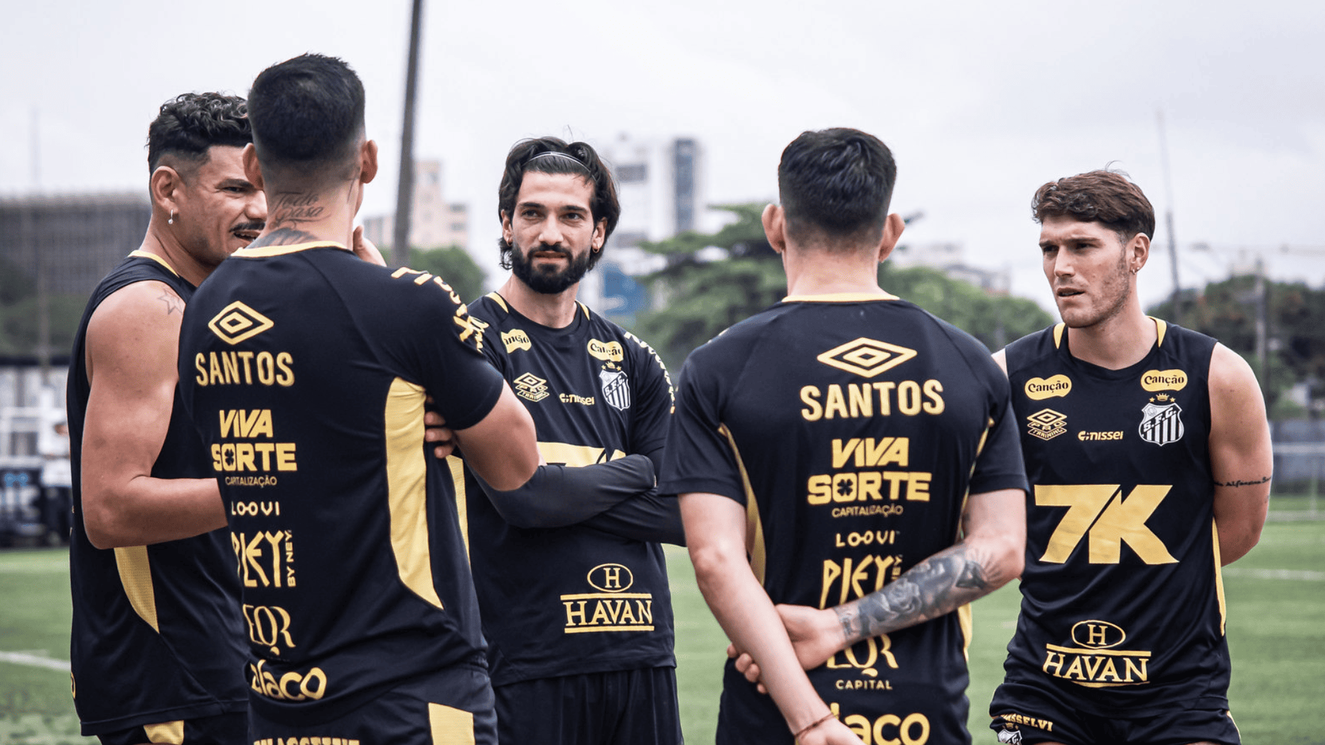 Foto: Raul Baretta / Santos FC