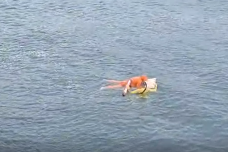 Pescador sobrevive a naufrágio agarrado a porta de geladeira em São Francisco do Sul