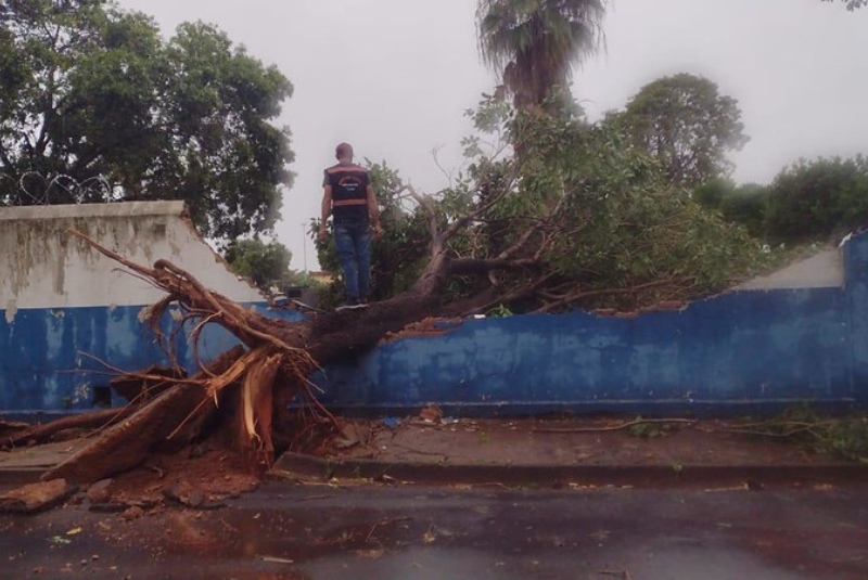Prefeitura de Uberaba monta força-tarefa após temporal e prefeita acompanha estragos
