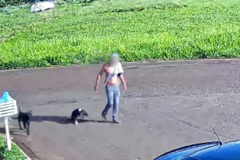 Homem é preso em flagrante por enforcar cachorro com arame farpado em Campina Verde (MG)