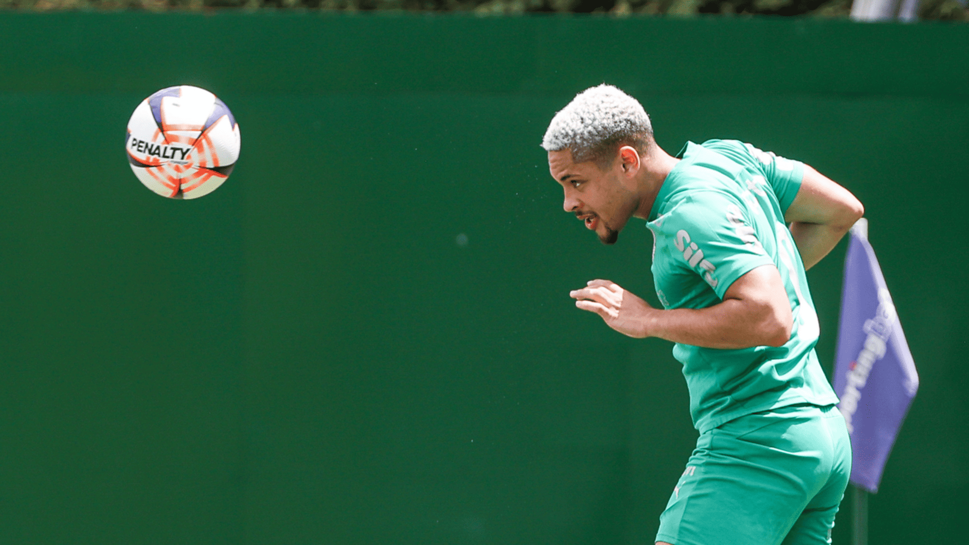 Foto: Fabio Menotti / Palmeiras / by Canon