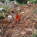 Equipes especializadas de...