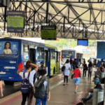 Linhas do transporte...